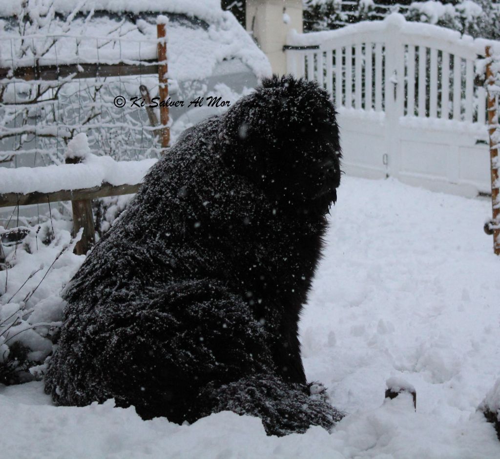 Jacotte du Pas de Gargantua