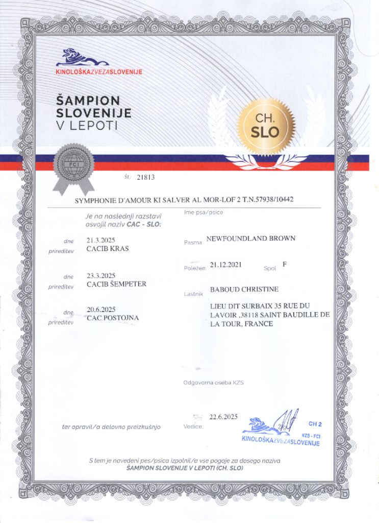 Symphonie d'Amour Ki Salver Al Mor devient MULTI CHAMPIONNE