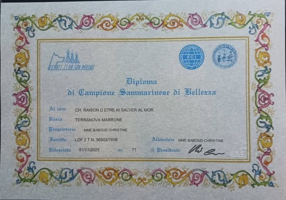 Multi Champion Raison d'Etre Ki Salver Al Mor devient CHAMPION DE BEAUTE DE SAN MARINO