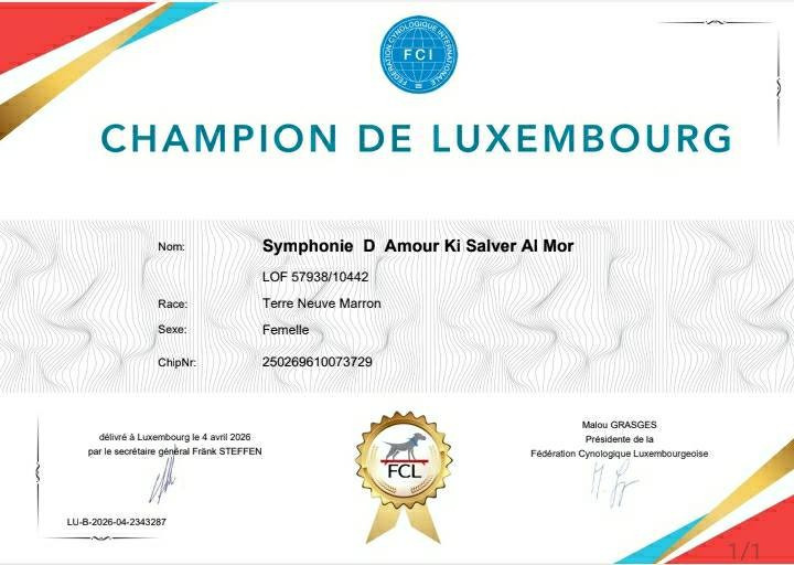 Multi Championne Symphonie d'Amour Ki Salver Al Mor devient CHAMPIONNE DE BEAUTE DU LUXEMBOURG.