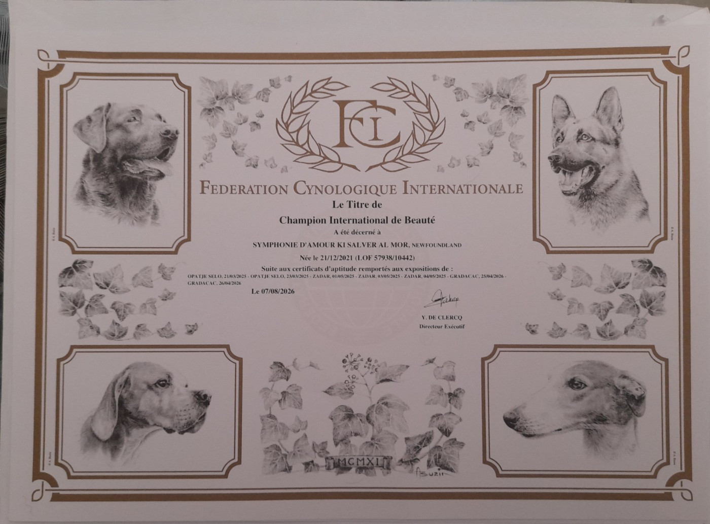 Titre de Championne International de Beauté homologué pour ma Multi CH Symphonie d'Amour Ki Salver Al Mor