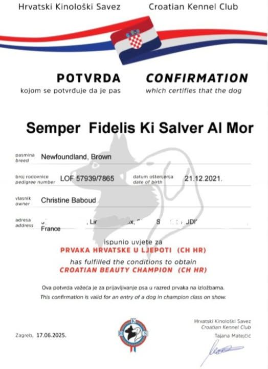 7 ème Titres de Champion de beauté pour Semper Fidelis Ki Salver Al Mo
